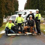 boise arborist service