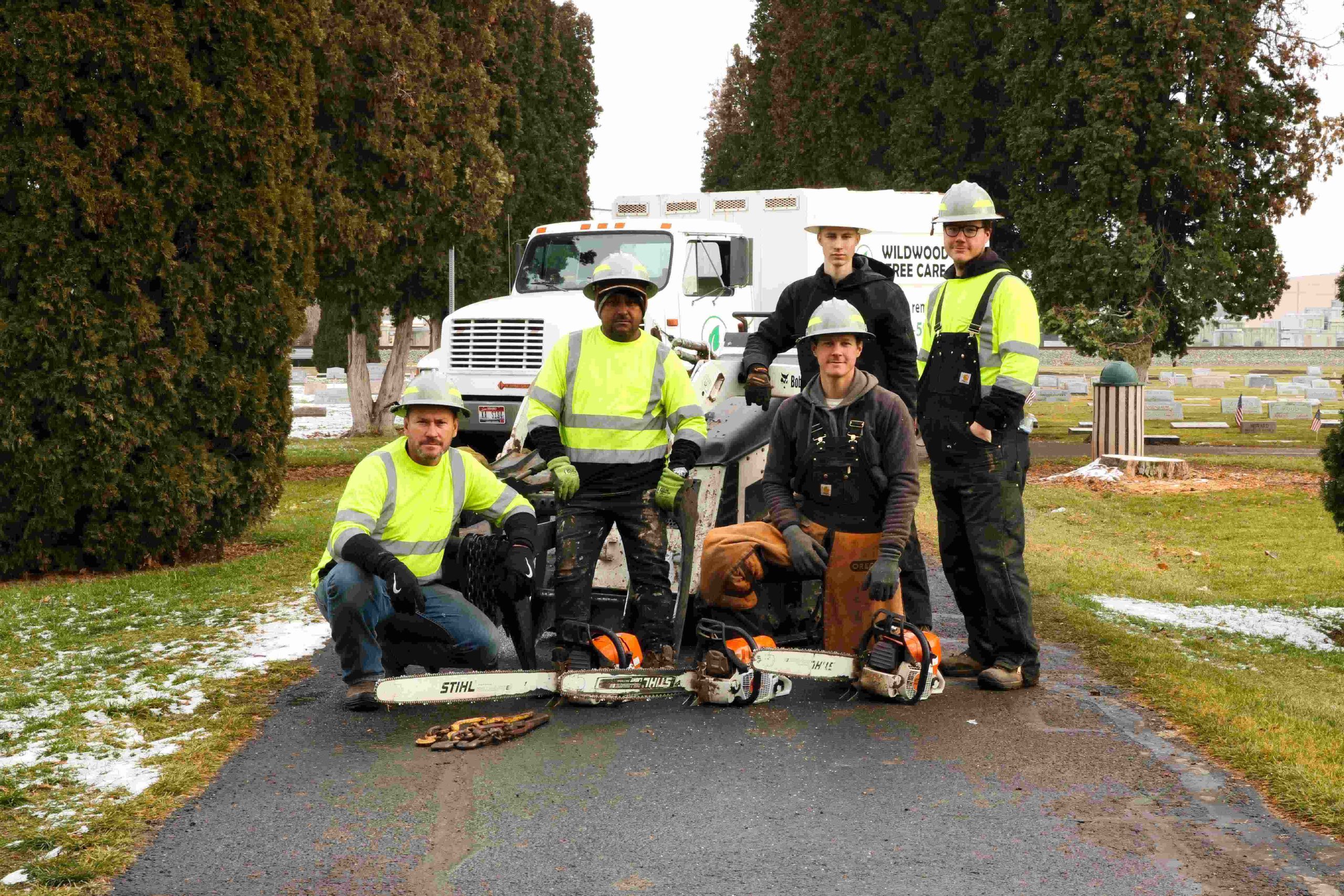 boise arborist service