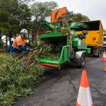 tree cutting workers wood chipping